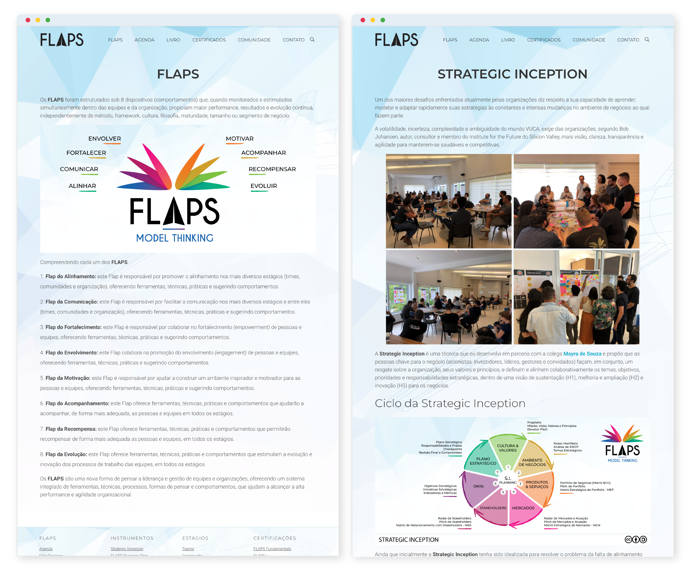 FLAPS website 3